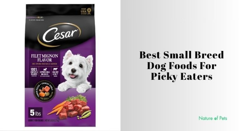 7 Best Small Breed Dog Foods For Picky Eaters Of 2026 - [Nature of Pets]